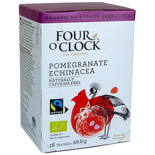 Four O'Clock Pomegranate Echinacea